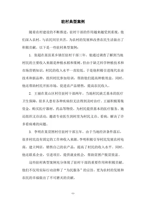 驻村典型案例