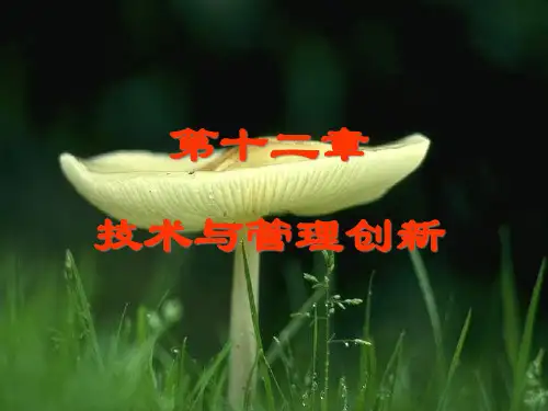 管理概论之技术与管理创新