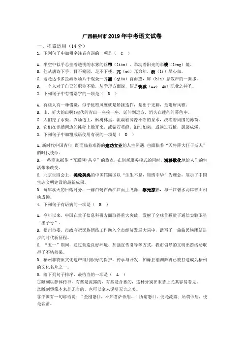 2019年广西梧州市中考语文试题(含答案)