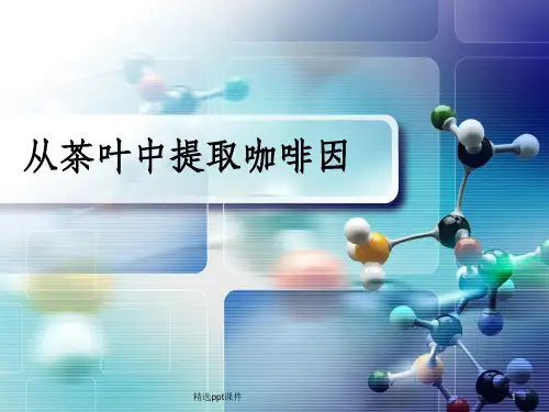 从茶叶中提取咖啡因ppt课件