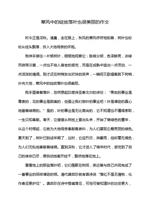 寒风中的绽放落叶也很美丽的作文