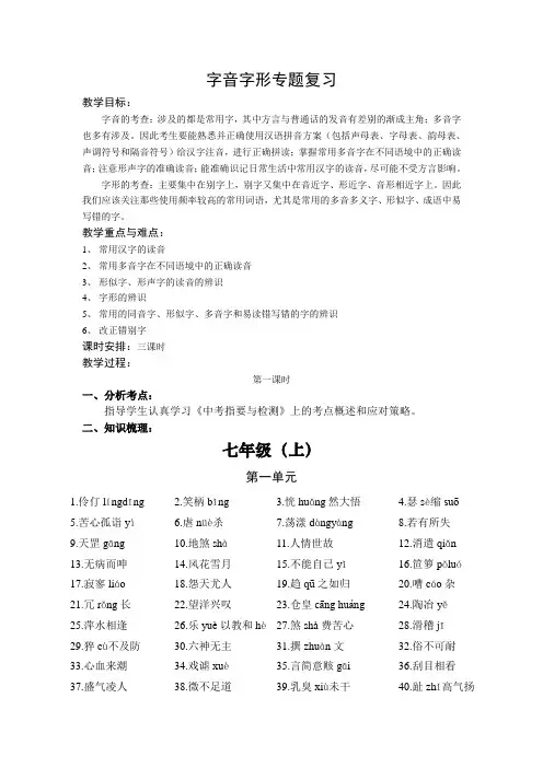 中考语文字音字形复习教案