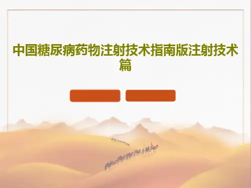 中国糖尿病药物注射技术指南版注射技术篇34页PPT