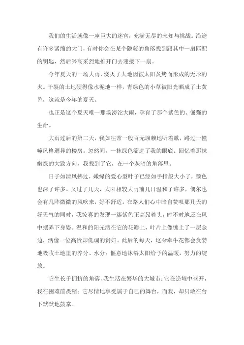 留一把光阴的钥匙作文600字初中