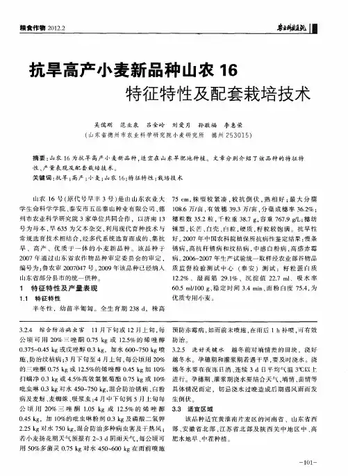 抗旱高产小麦新品种山农16特征特性及配套栽培技术