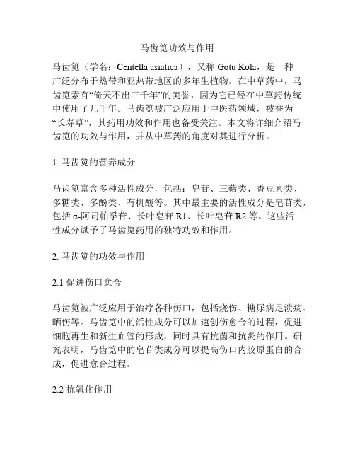 马齿笕功效与作用