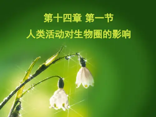 北师大版生物七年级下册14.1《人类活动对生物圈的影响》课件(共19张PPT)