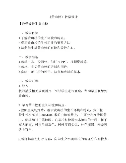 《黄山松》教学设计