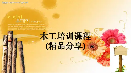 木工培训课程(精品分享)ppt课件