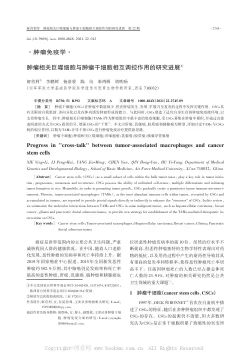 肿瘤相关巨噬细胞与肿瘤干细胞相互调控作用的研究进展