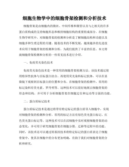 细胞生物学中的细胞骨架检测和分析技术