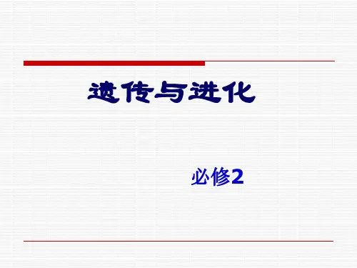孟德尔的豌豆杂交实验一完整版