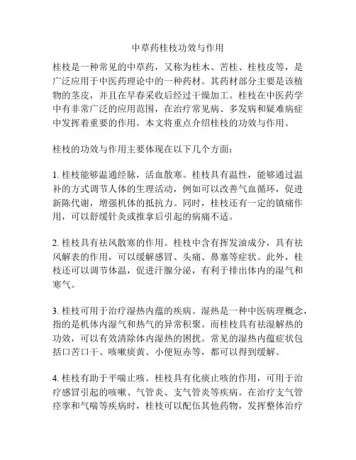 中草药桂枝功效与作用