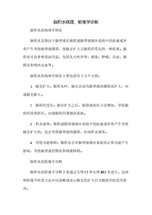 脑积水病理、影像学诊断