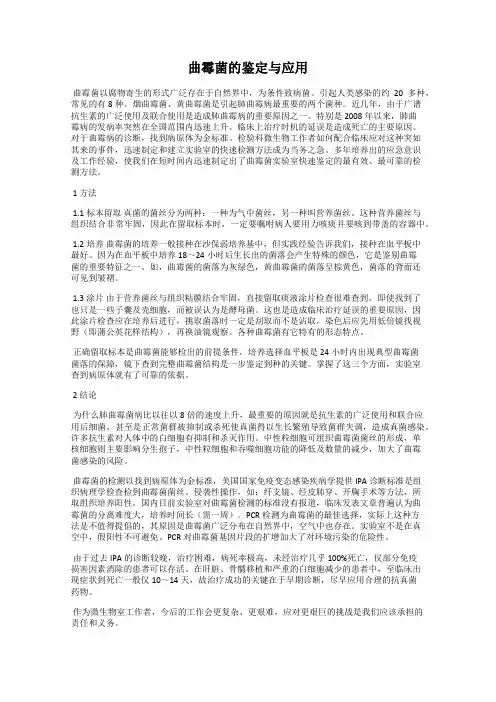 曲霉菌的鉴定与应用