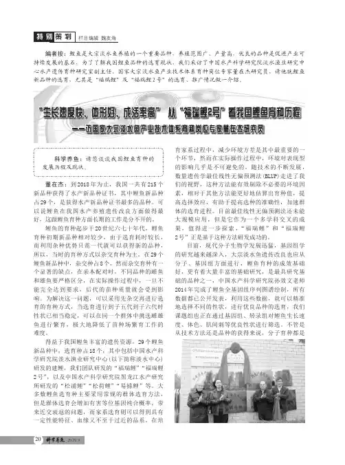 “生长速度快、体形好、成活率高”从“福瑞鲤2号”看我国鲤鱼育