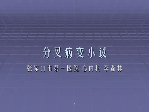 《分叉病变小议》PPT课件