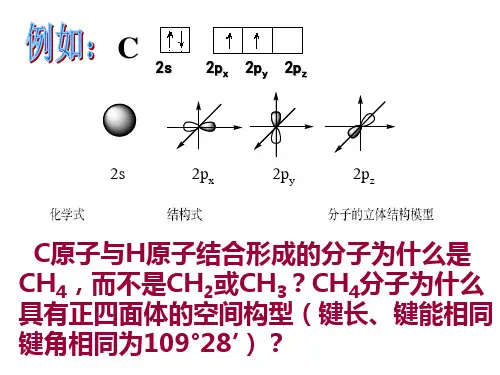 选修3杂化轨道理论