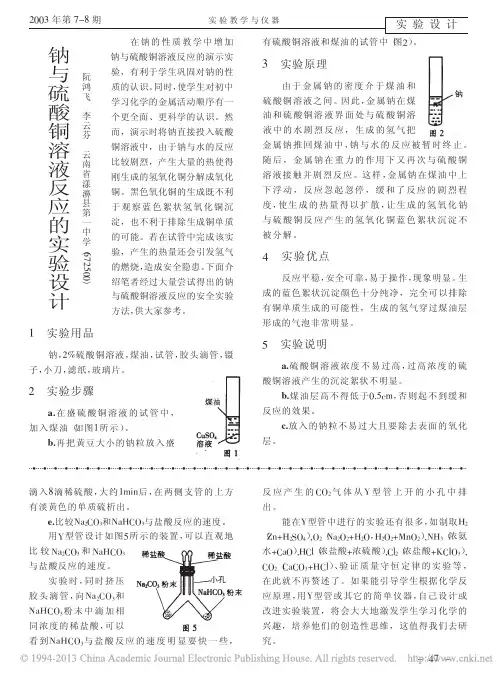 钠与硫酸铜溶液反应的实验设计