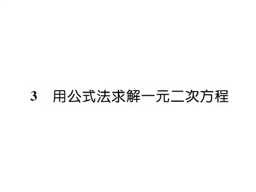 北师大版数学九年级上册课件：2.3用公式法求解一元二次方程 (共20张PPT)