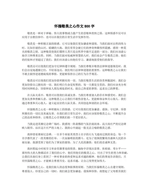 怀揣敬畏之心作文800字