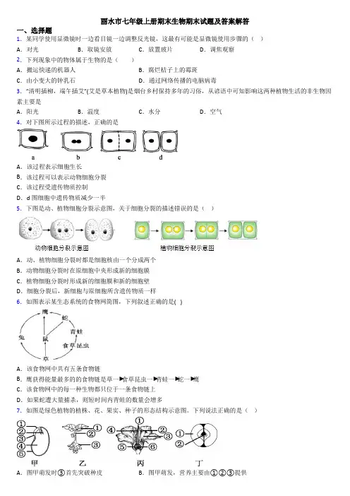 丽水市七年级上册期末生物期末试题及答案解答