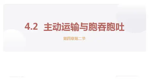 人教版高中生物必修一《主动运输与胞吞、胞吐》细胞的物质输入和输出PPT