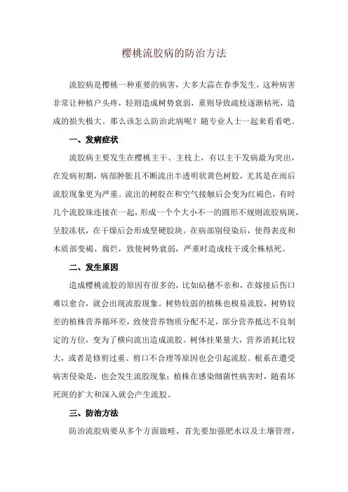 樱桃流胶病的防治方法