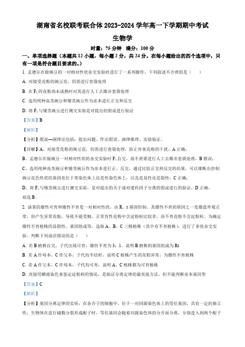 湖南省名校联考联合体2023-2024学年高一下学期期中考试生物试题(解析版)
