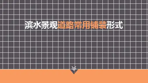 滨水景观常用道路形式