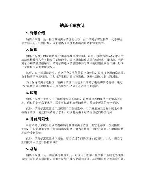 钠离子浓度计