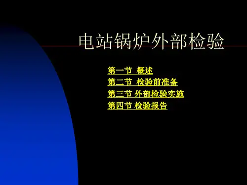 电站锅炉外部检验