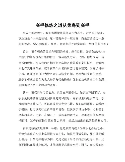 高手修炼之道从菜鸟到高手
