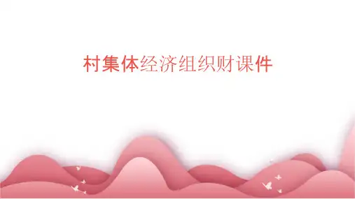 村集体经济组织财课件