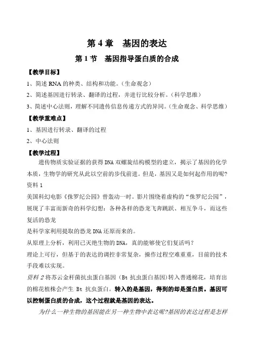 生物人教版高中必修二(2019年新编)4-1 基因指导蛋白质的合成 (第1课时)教案