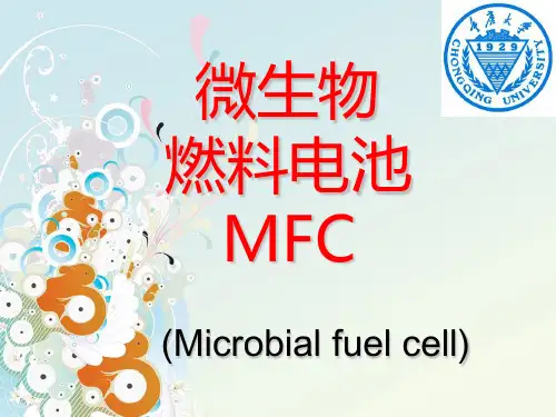 微生物燃料电池MFC
