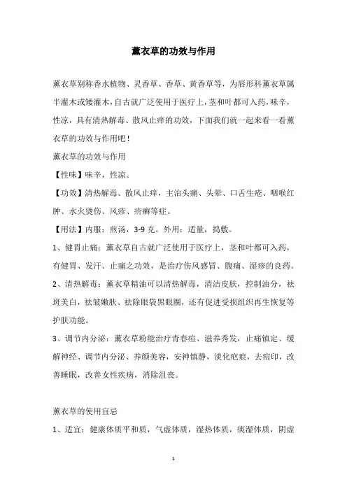 薰衣草的功效与作用