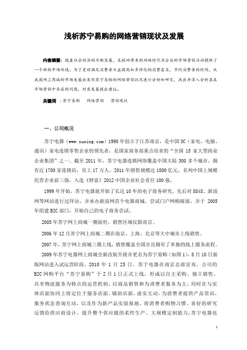 苏宁易购网络营销现状与发展