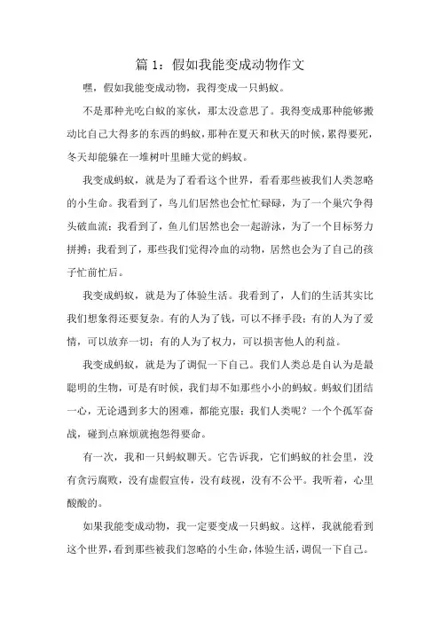 精彩纷呈小学优秀十篇选读