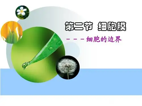人教版教学课件浙江省温州市龙湾中学高中生物 必修一《细胞膜》课件