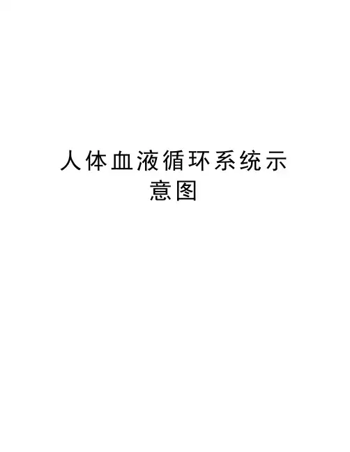 人体血液循环系统示意图知识讲解