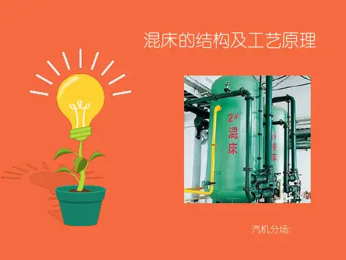 混床的结构及工艺原理(PPT46页)