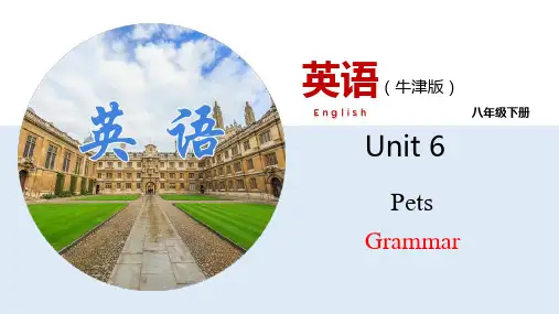 Unit6 Grammar【课件】八年级英语下册(牛津深圳版)