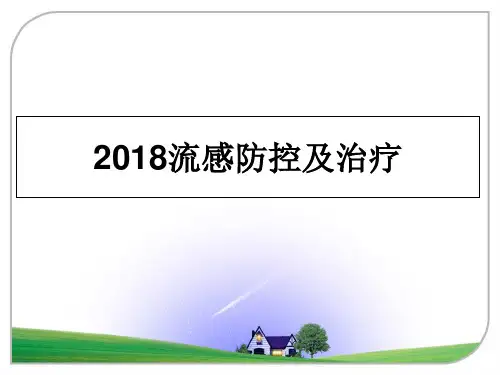 最新2018流感防控及治疗幻灯片