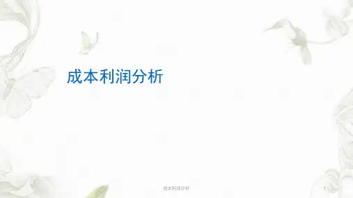 成本利润分析ppt课件
