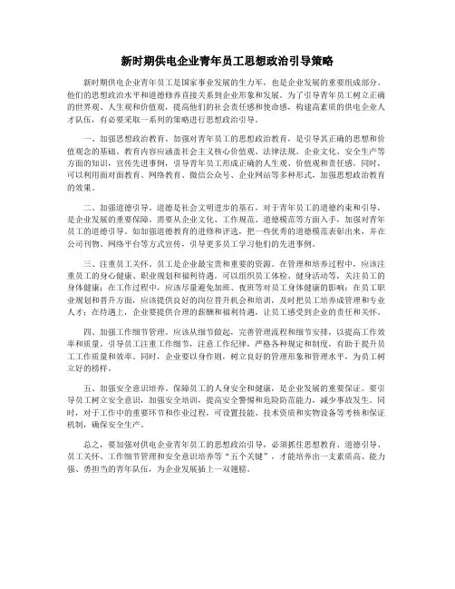 新时期供电企业青年员工思想政治引导策略