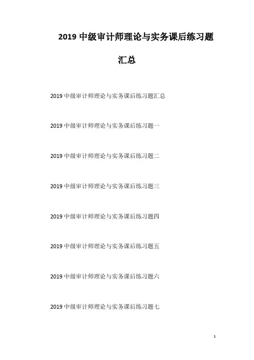 2019中级审计师理论与实务课后练习题汇总