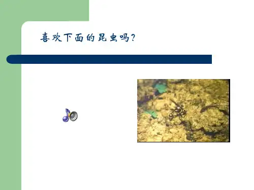 (苏教版)五年级语文上册《第5课 装满昆虫的衣袋》课件 (1)-经典通用PPT课件材料