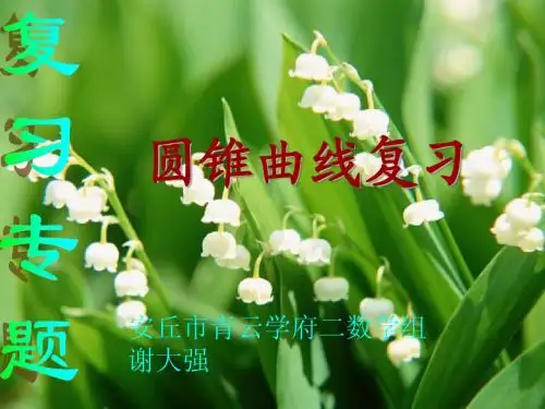 圆锥曲线复习 课件