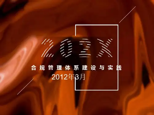 合规风险管理体系建设